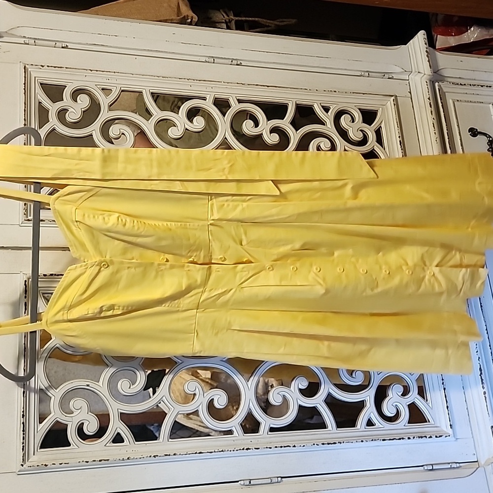 Gal Meets Glam dress